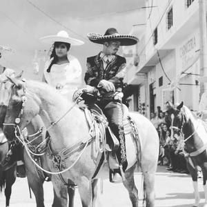 Meet your Posher, Moran